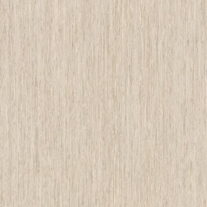 Линолеум Tarkett «Optima LIGHT SAND BEIGE 0246» из коллекции IQ OPTIMA