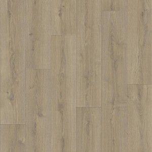 Линолеум Tarkett «BRUNO 1» из коллекции PRAKTIKA